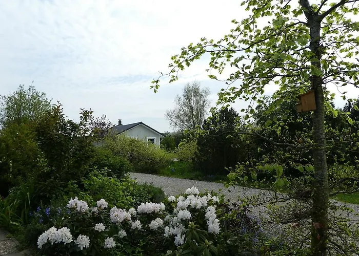 Ferienhaus-silbermoewe Casa vacanze *