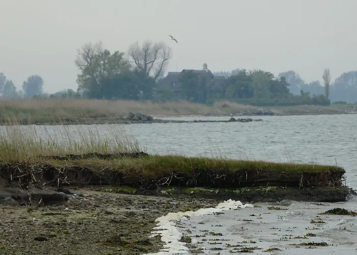 Ferienhaus-silbermoewe
